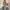 Vintage Y2K Pria green photo 6