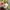 2000s Miss Alice Green Blurry Diamond Fitted Tee (S to M) photo 9