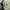 2000s Miss Alice Green Blurry Diamond Fitted Tee (S to M) photo 3