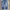 Global work jeans denim selvedge work second branded bekas photo 4