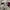 Knitwear vneck lyle and scott photo 5