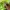 Nike golf green polo shirt photo 3