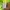 Nike Golf Green Polo Shirt