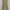 Dickies khaki 874 workpant photo 4