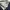 Dark navy dickies 874  photo 4