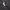 BACK NUMBER photo 5