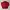 Polo Ralph Lauren Casual Harrington jacket Pria red photo 4