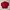 Polo Ralph Lauren Casual Harrington jacket Pria red photo 5