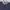 Vivienne Westwood Luxury Casual Polo shirt Pria white navy photo 2