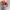 Converse 70's 's Low Red photo 7