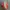Converse 70's 's Low Red photo 5