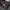Jacket gorpcore nike acg 3 layer photo 3