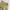 EDWIN Y2K Casual Short Pria tan photo 5