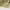 EDWIN Y2K Casual Short Pria tan photo 6