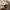 EDWIN Y2K Casual Short Pria tan photo 4