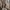 Biker Leather jacket Pria brown photo 2