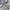 Nike ACG Streetwear Sportswear Sweatpants & Joggers Pria gray photo 4