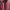 Patagonia Casual Fleece Pria red photo 1