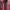 Patagonia Casual Fleece Pria Red