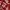 Japanese brand Vintage Streetwear Hoody Pria red photo 3