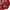 Japanese brand Vintage Streetwear Hoody Pria red photo 4