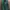 Nike Casual Windbreaker Pria green gray photo 1