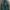 Nike Casual Windbreaker Pria Green Gray