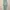 Dress Gamis Muslim Jersy Sage Green Wanita