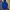 Uniqlo Blocktech Blue Jacket Original photo 9