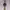 Smart / sportwatch Watch | Garmin Venu 2s photo 2