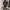 Zipper Hoodie minute mirth y2k grunge style  photo 2