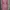 Setelan kerja rok plisket warna pink photo 2