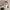 Grooverhyme tee backhit wave surfin grey korean streetwear photo 4