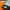 PALACE Streetwear Avant Garde T-shirt Pria multicolor photo 4