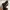 Massimo Dutti Vintage Heels Wanita black photo 1