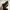 Massimo Dutti Vintage Heels Wanita Black