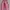 DENIMITUP / wide barrel - Grain dual pinkish photo 5