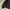 Untility jacket apn 44 spector  photo 4