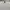 Number (N)ine Spell Out Logo Taped Pocket Crewneck Grey photo 5