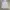 Number (N)ine Spell Out Logo Taped Pocket Crewneck Grey photo 6
