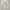 2010s Grateful Dead American Classic Rock Ziphoodie Grey photo 2