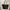 Longchamp Le Pliage Medium Tote Bag photo 4