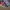 ASICS Novablast 3 Electric Red  photo 5
