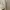 jennifer adler turtle neck top putih photo 3