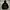 National Geographic Luxury Casual Hoody Pria Black