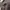 Japanese brand Vintage Streetwear Casual pants Pria brown photo 3