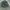 Movement running cargo short camo pants photo 3
