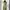 Issey Miyake Casual Casual dress Wanita green photo 1