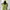 Issey Miyake Casual Casual dress Wanita green photo 2