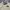 Pendelton Sherpa Jacket